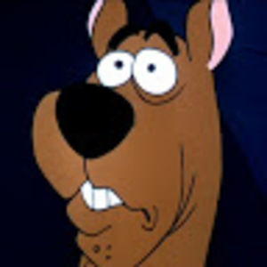 Meet your Posher, Luke